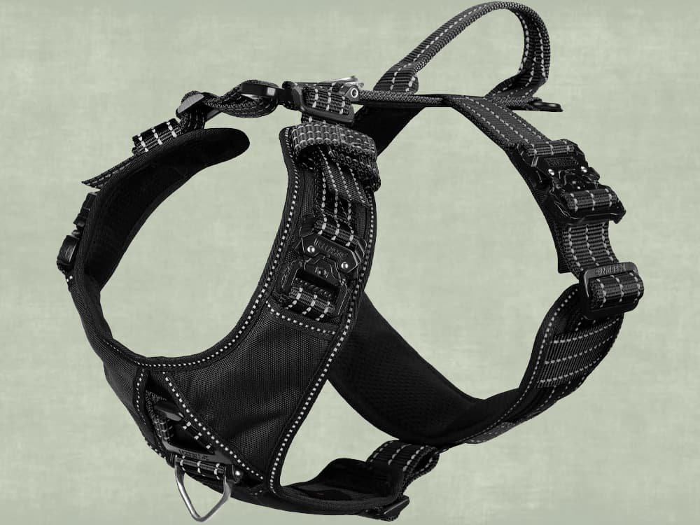 ICEFANG Dog Strap Harness with 4 x Metal Buckles,for Large Sized Dog,K9 Vest,Y-Shape Chest,Adjustable Pet Harness,No-Pull Front Leash Clip (Large (Pack of 1), Black)

